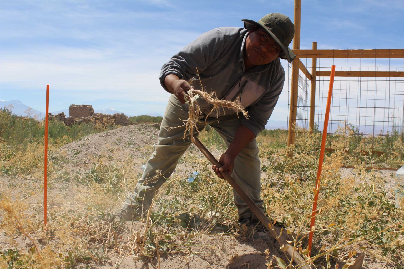 Inician proyecto que beneficia a 800 pequeños agricultores de la región, potenciando la agricultura familiar