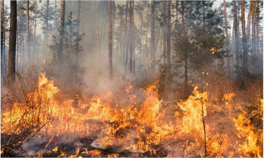 Prohíben quemas agrícolas en tres regiones del país por riesgo de incendios forestales