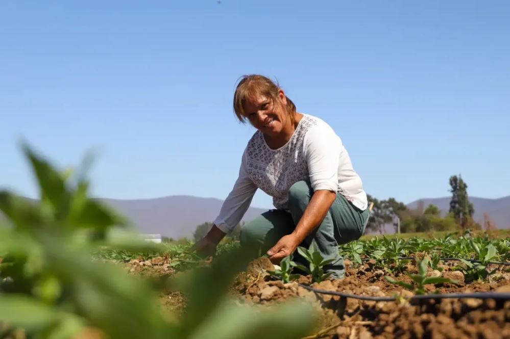 Pequeñas agricultoras de Atacama y Coquimbo podrán postular a concurso de la CNR para mejorar riego