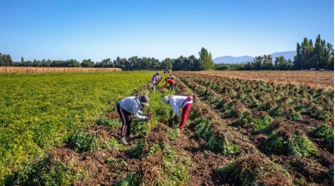 “Tierras Vivas”: Bienes Nacionales e INDAP reducen en 50% el arriendo de terrenos fiscales a agricultores