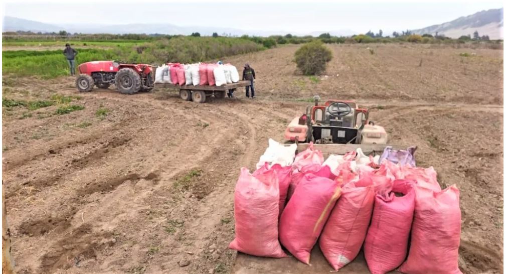 Agricultores familiares de Atacama ya pueden postular a fondos públicos para recuperar suelos degradados