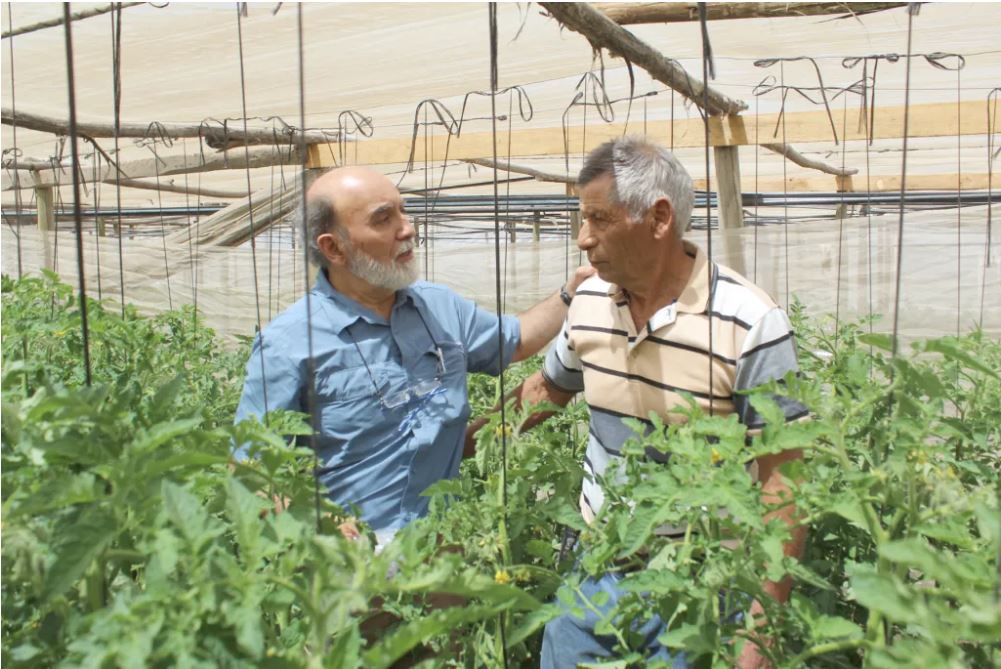 INIA destaca el rol de depredadores naturales en el control de plagas