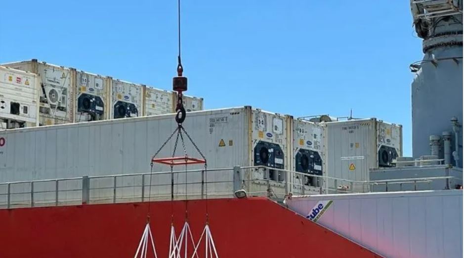 SAG certifica exportaciones de más de 8 millones de cajas de uva de mesa producidas en Atacama