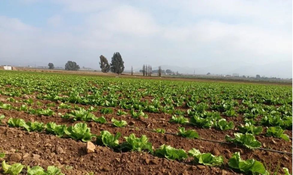 CNR convoca a las pequeñas agricultoras de Atacama y Coquimbo a presentar sus proyectos de riego al concurso dirigido a mujeres