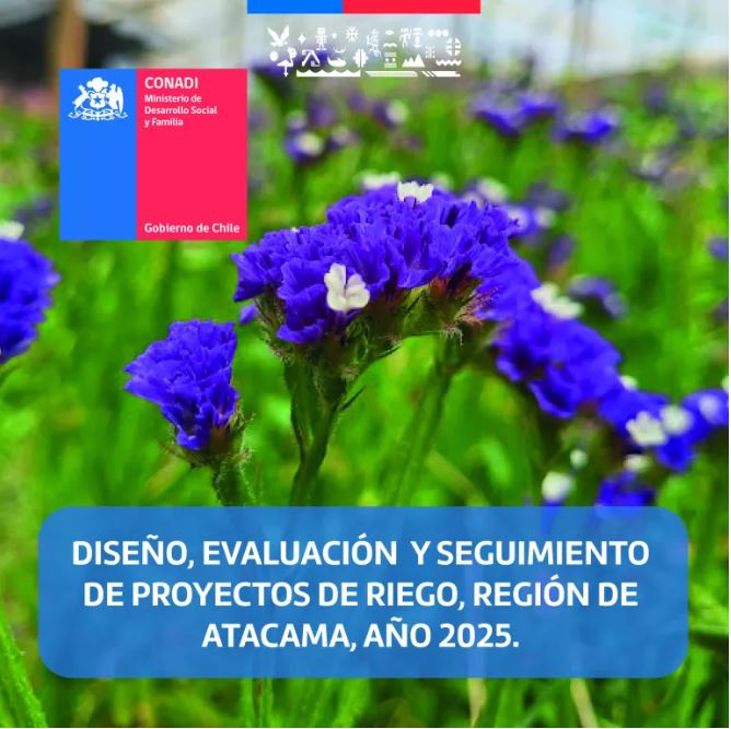 CONADI invita a la comunidad a participar en el programa de «Diseño, evaluación y seguimiento de proyectos de riego, región de Atacama, año 2025»