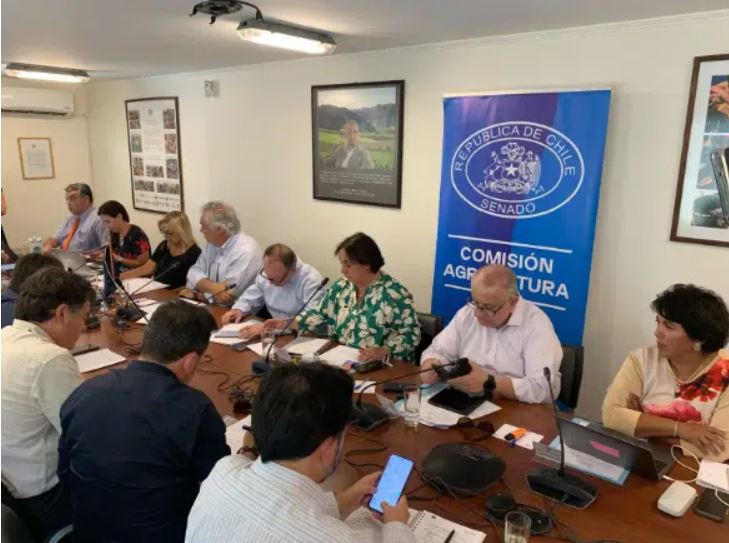 Los desafíos agrícolas en Atacama que preocupan al Senado