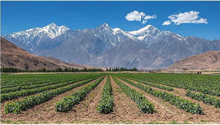 Chile es el líder en Latinoamérica en avances de la agricultura digital sostenible, según estudio