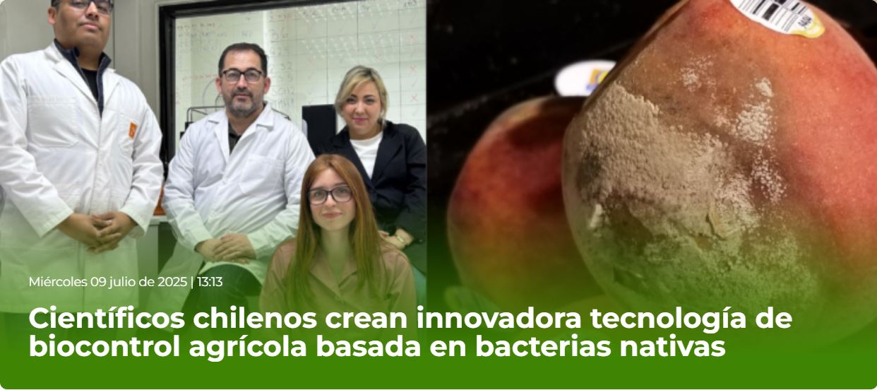 Científicos chilenos crean innovadora tecnología de biocontrol agrícola basada en bacterias nativas