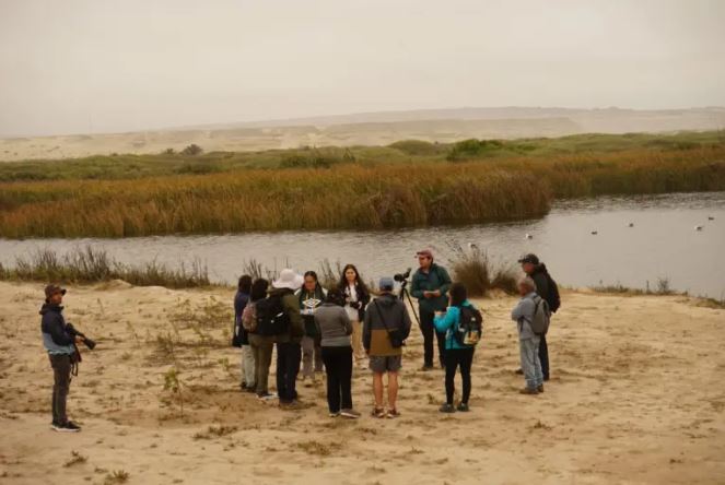 Exitosa jornada de Monitoreo Comunitario de Avifauna en el Santuario de la Naturaleza Humedal Desembocadura Río Copiapó