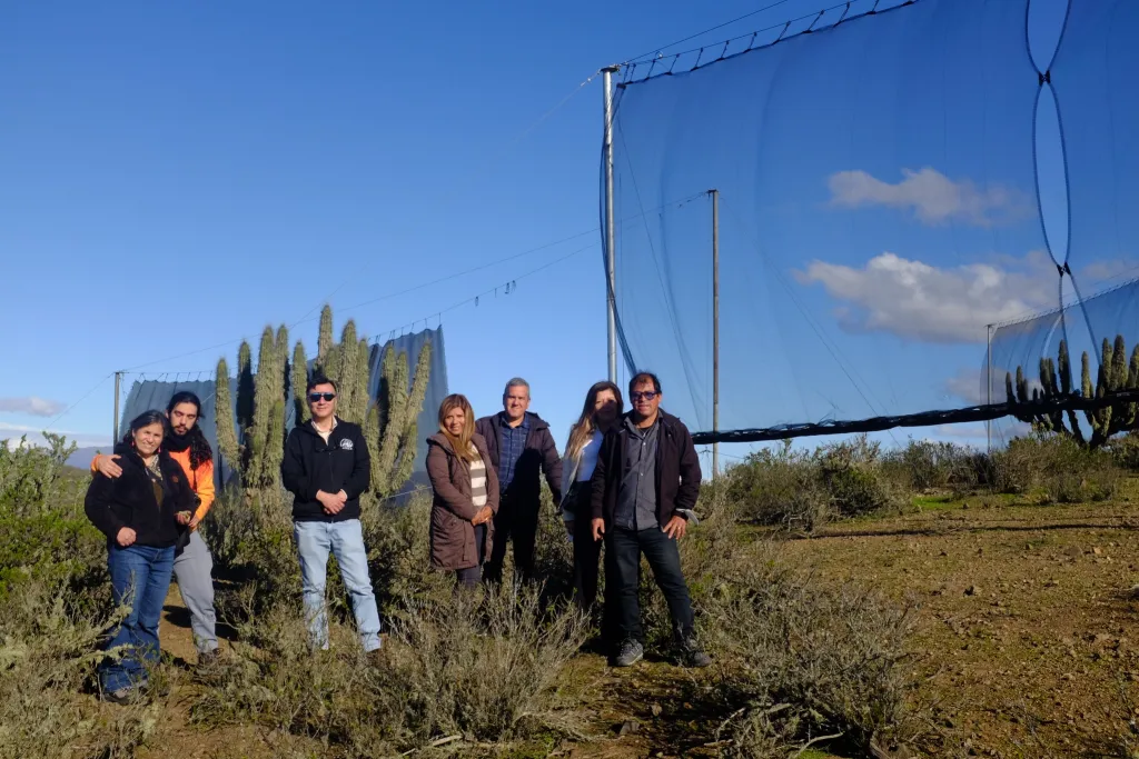 Científicos de CEAZA se refieren a la cosecha de agua a partir de la “camanchaca”