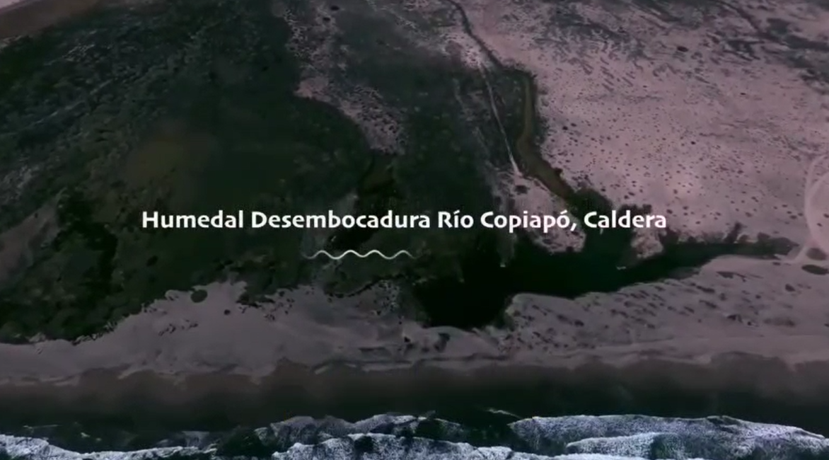 "Fortalecimiento Humedal Desembocadura Río Copiapó”