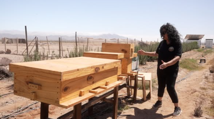 Gobierno Regional impulsa histórica inversión de $5.700 millones para fortalecer la agricultura familiar campesina