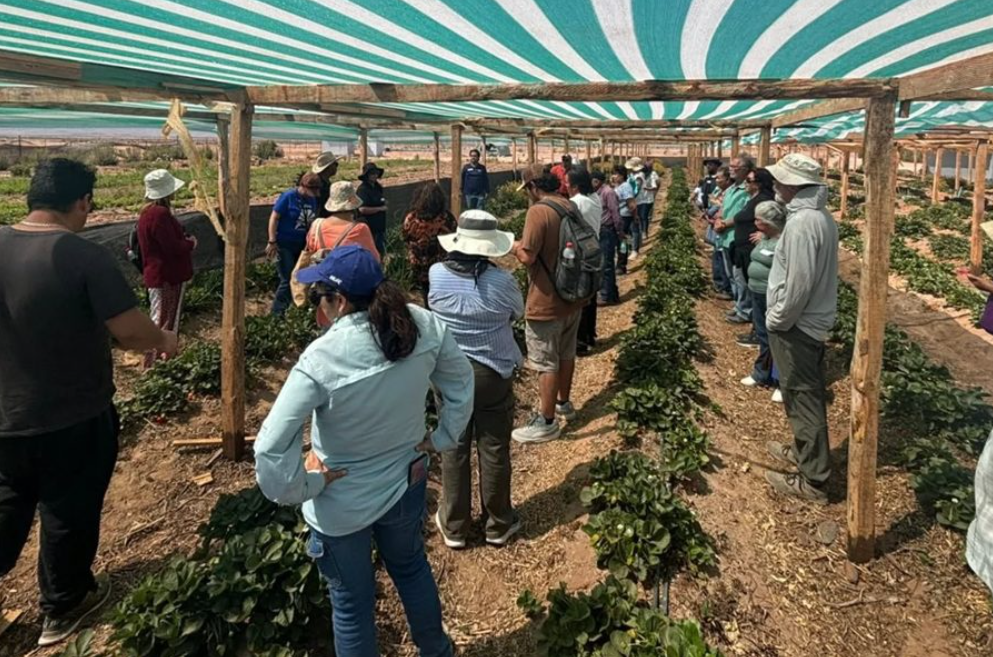 Agricultores familiares visitan primeros faros agroecológicos en la región de Atacama
