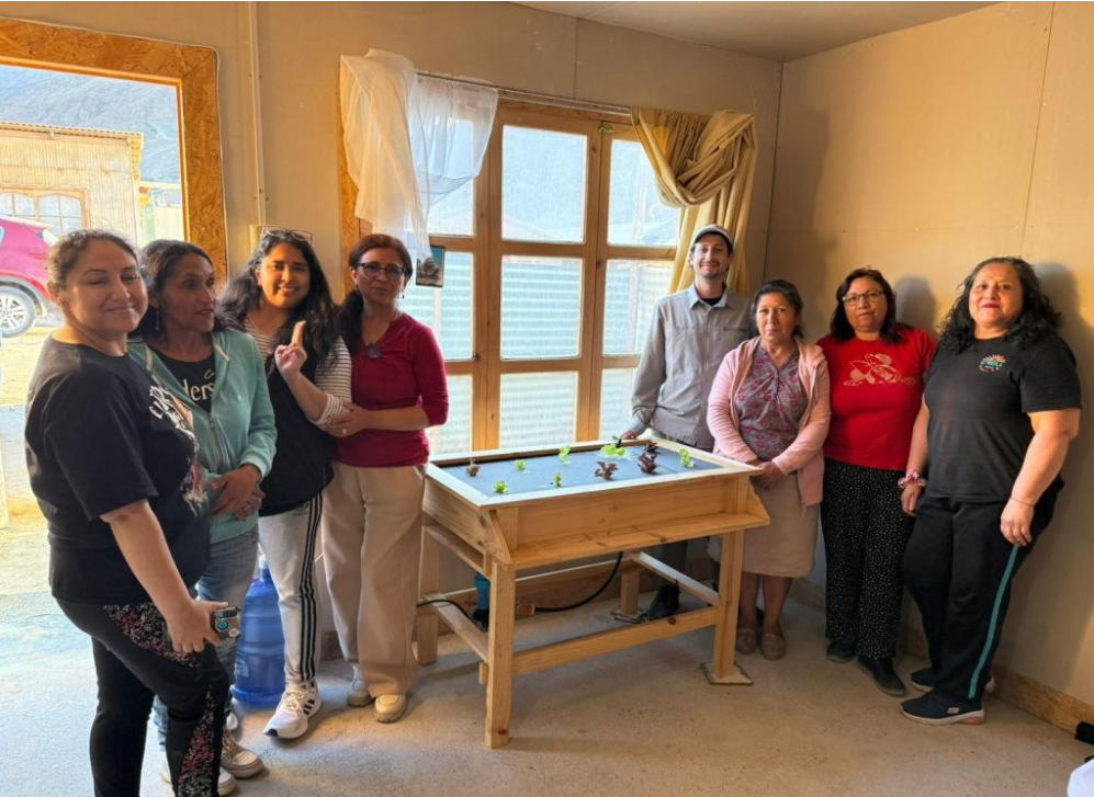 INIA Intihuasi impulsa hidroponía en Atacama para enfrentar la crisis hídrica