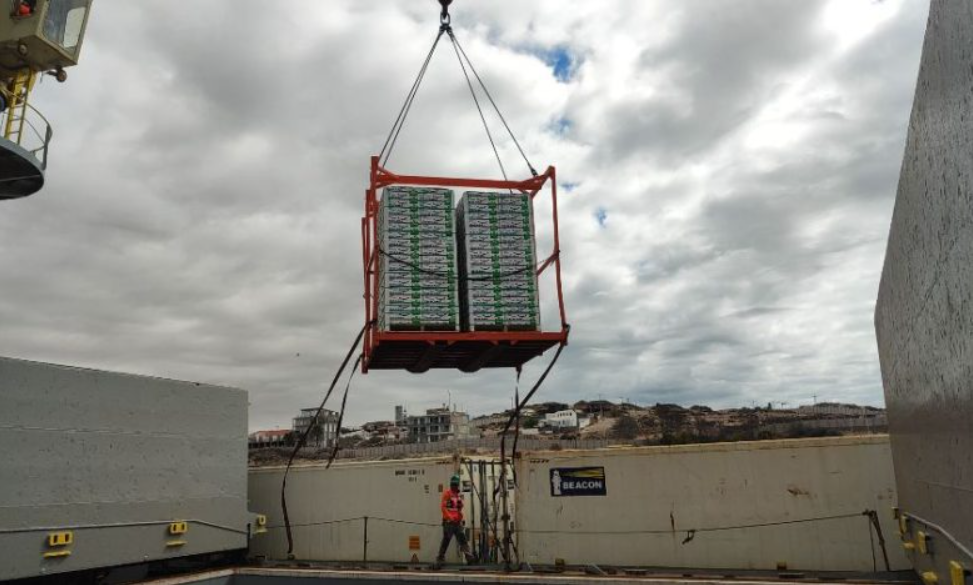 Arribo del buque CS CARE marca el inicio del embarque de uva en Caldera