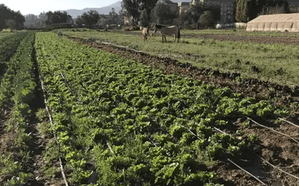 Ministerio de Agricultura avanza en medidas de mitigación y adaptación para el Plan de acción regional de Cambio Climático Regional