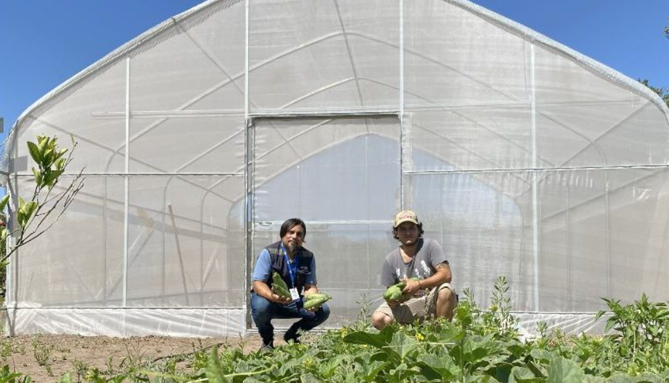 Joven agricultor en Copiapó se abre paso con producción de plantines