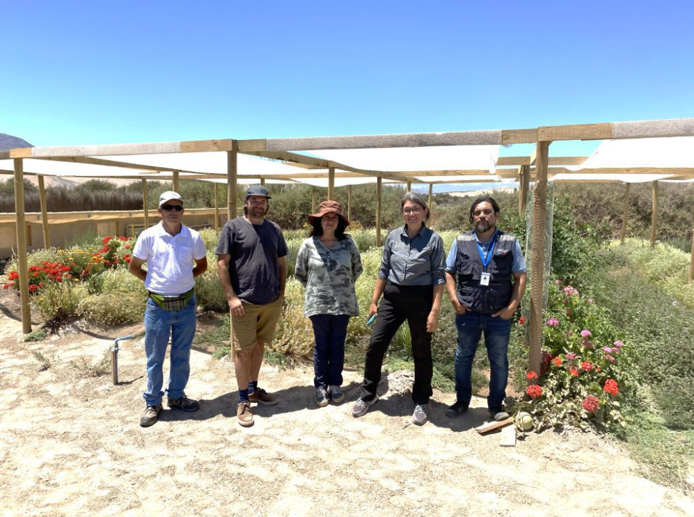 Productora de flores comestibles en Copiapó inició proceso de certificación orgánica