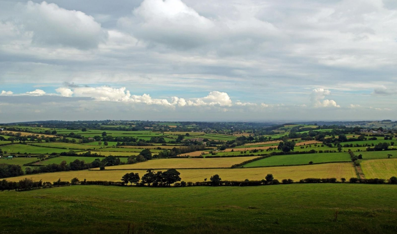 La Sociedad Nacional de Agricultura pide proteger los suelos agrícolas y ordenar el desarrollo rural
