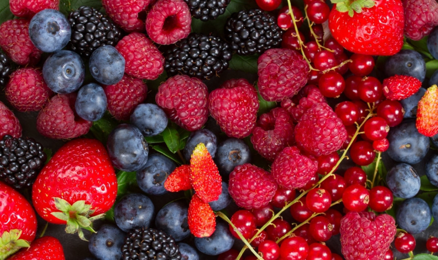Tecnología ultrasónica impulsa el valor de los berries y abre nuevas oportunidades para la agroindustria