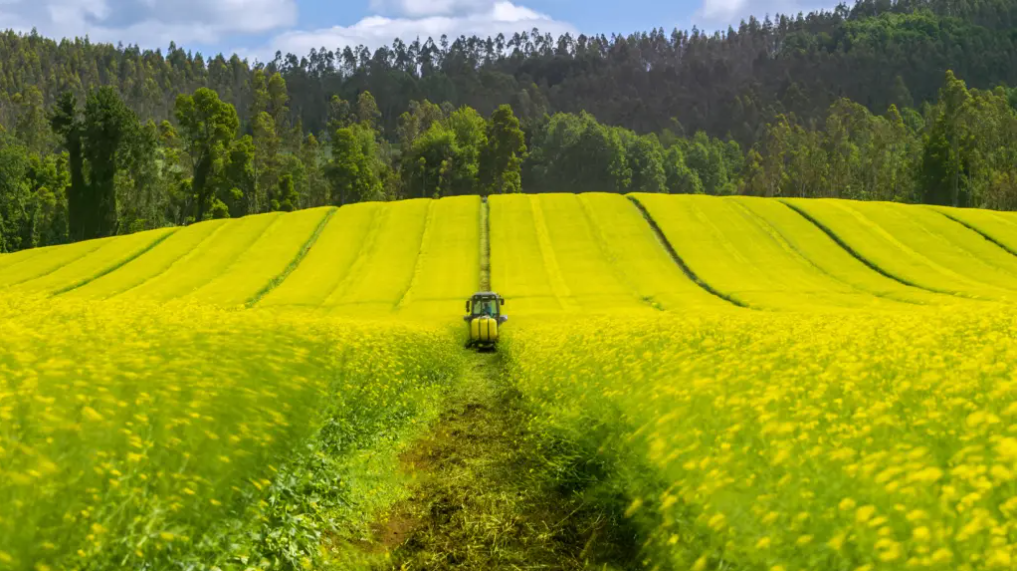 Chile y Nueva Zelanda firman Arreglo Estratégico Agrícola para fortalecer la cooperación y el comercio sostenible