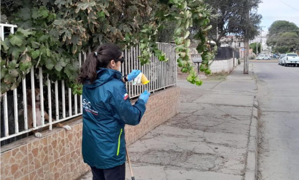 SAG inicia campaña de erradicación de mosca de la fruta en Copiapó