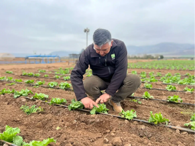 INIA Intihuasi entrega recomendaciones para reducir el impacto de las lluvias en predios agrícolas y ganaderos