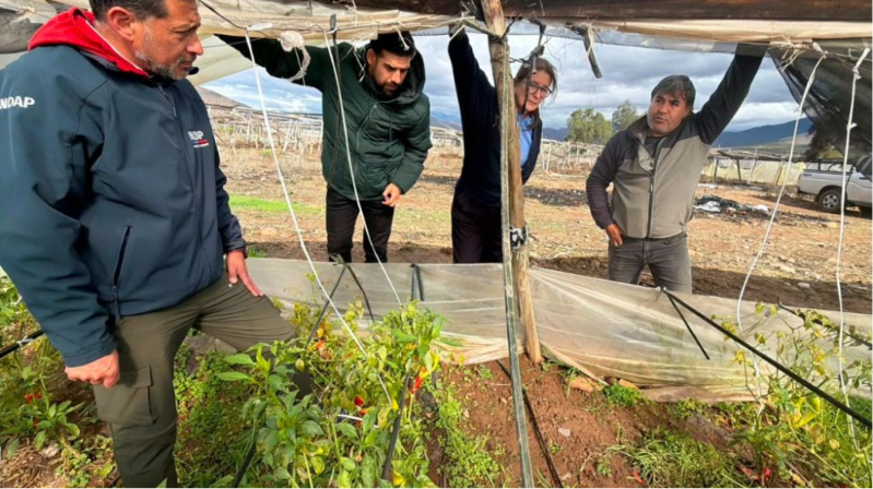 INDAP activa medidas de apoyo para agricultores afectados por la emergencia en Atacama y Coquimbo
