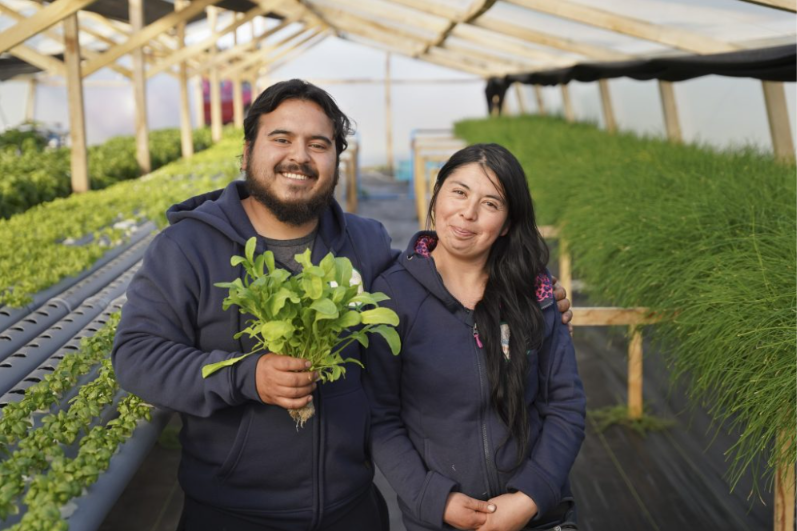 INDAP y Agroseguros lanzan campaña y estrenan espacio web para proteger el trabajo de la Agricultura Familiar Campesina