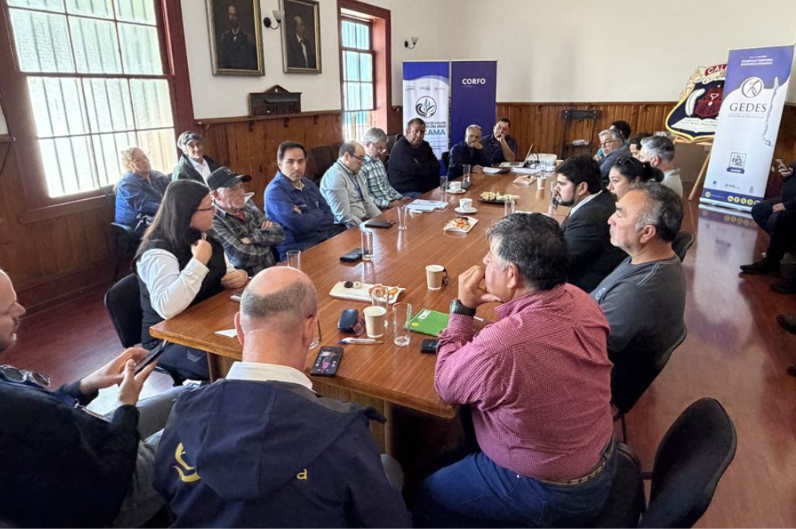 Programa Territorial Integrado (PTI) de Corfo “Productos del mar con valor agregado Atacama” realiza primera sesión de Gobernanza