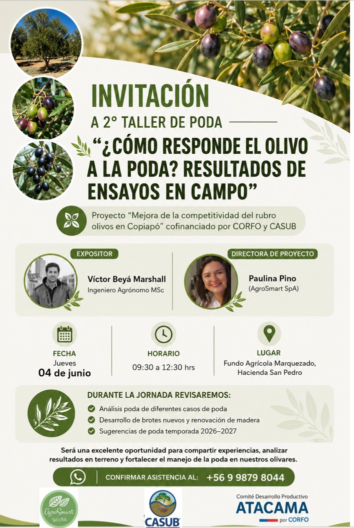 🌿 INVITACIÓN A TALLER DE PODA EN OLIVOS 🌿